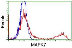 HEK293T cells transfected with either RC203506 overexpress plasmid (Red) or empty vector control plasmid (Blue) were immunostained by anti-MAPK7 antibody (ABIN2454021), and then analyzed by flow cytometry. (MAPK7 antibody)
