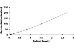 Phospholipase D ELISA Kit