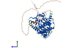 AlphaFold protein structure predicition of Human Recombinant CRY2 Protein, UniprotID Q49AN0 (CRY2 Protein (AA 1-593) (His tag))