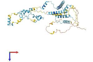 AlphaFold protein structure predicition of Human Recombinant ZC3H15 Protein, UniprotID Q8WU90 (ZC3H15 Protein (AA 1-426) (His tag))