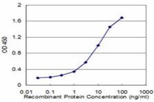 Detection limit for recombinant GST tagged GRM5 is approximately 0. (Metabotropic Glutamate Receptor 5 antibody  (AA 419-518))