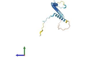 Protein Structure (PS) image for PDGFA Associated Protein 1 (PDAP1) (AA 1-181) protein (His tag) (ABIN7548237)