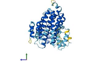 Protein Structure (PS) image for ATPase, H+ Transporting, Lysosomal 38kDa, V0 Subunit D1 (ATP6V0D1) (AA 1-351) protein (His tag) (ABIN7545039)