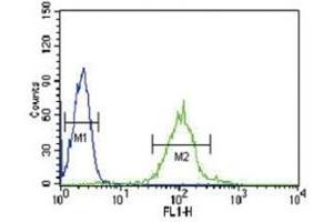 IRF8 antibody flow cytometric analysis of HL-60 cells (green) compared to a negative control (blue). (IRF8 antibody  (AA 384-409))