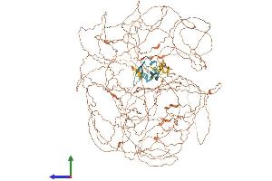 AlphaFold protein structure predicition of Mouse Recombinant Prx Protein, UniprotID O55103