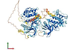 AlphaFold protein structure predicition of Human Recombinant RPS6KA3 Protein, UniprotID P51812 (RPS6KA3 Protein (AA 1-740) (His tag))