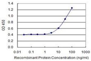 Detection limit for recombinant GST tagged TSKS is 1 ng/ml as a capture antibody. (TSKS antibody  (AA 471-560))