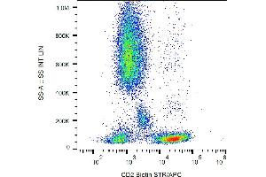 Flow cytometry analysis (surface staining) of human peripheral blood with anti-human CD2 (MEM-65) biotin, streptavidin-APC. (CD2 antibody  (Biotin))