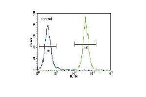 CC85C Antibody (N-term) (ABIN654469 and ABIN2844203) flow cytometric analysis of 293 cells (right histogram) compared to a negative control cell (left histogram).