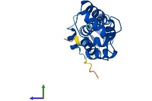 AlphaFold protein structure predicition of Mouse Recombinant Cetn4 Protein, UniprotID Q8K4K1