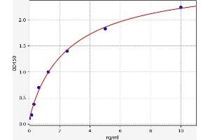 RAB10 ELISA Kit