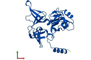 AlphaFold protein structure predicition of Human Recombinant RPS4Y2 Protein, UniprotID Q8TD47 (RPS4Y2 Protein (AA 1-263) (His tag))