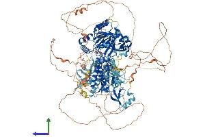 AlphaFold protein structure predicition of Mouse Recombinant Kdm3a Protein, UniprotID Q6PCM1