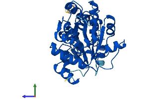 AlphaFold protein structure predicition of Mouse Recombinant Sdsl Protein, UniprotID Q8R238 (SDSL Protein (AA 1-329) (His tag))
