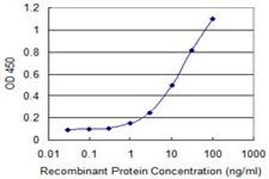 Detection limit for recombinant GST tagged PLDN is 0. (Pallidin antibody  (AA 1-172))