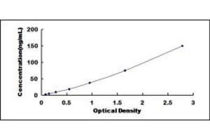 Typical standard curve (TNNI2 ELISA Kit)