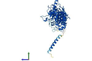 AlphaFold protein structure predicition of Human Recombinant FKRP Protein, UniprotID Q9H9S5