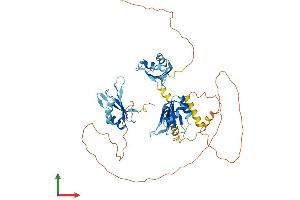 AlphaFold protein structure predicition of Mouse Recombinant Celf2 Protein, UniprotID Q9Z0H4 (CELF2 Protein (AA 1-508) (His tag))