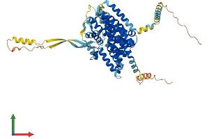 AlphaFold protein structure predicition of Human Recombinant SLC1A6 Protein, UniprotID P48664