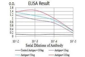 Black line: Control Antigen (100 ng),Purple line: Antigen (10 ng), Blue line: Antigen (50 ng), Red line:Antigen (100 ng) (APC1 antibody  (AA 12-155))