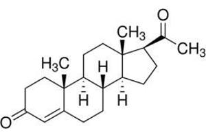 Molecular Structure of Progesterone (Progesterone antibody)