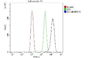 anti-Sodium Channel, Voltage-Gated, Type IV, beta Subunit (SCN4B) antibody