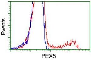 Image no. 3 for anti-Peroxisomal Biogenesis Factor 5 (PEX5) antibody (ABIN1500156) (PEX5 antibody)