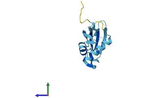 Protein Structure (PS) image for Ribonuclease P/MRP 14kDa Subunit (RPP14) (AA 1-122) protein (His tag) (ABIN7560547)