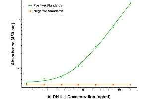 ELISA image for anti-Aldehyde Dehydrogenase 1 Family, Member L1 (ALDH1L1) antibody (ABIN2715906) (ALDH1L1 antibody)