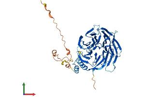 Protein Structure (PS) image for Damage-Specific DNA Binding Protein 2, 48kDa (DDB2) (AA 1-427) protein (His tag) (ABIN7553673)