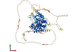 AlphaFold protein structure predicition of Mouse Recombinant Mtmr14 Protein, UniprotID Q8VEL2 (MTMR14 Protein (AA 1-648) (His tag))