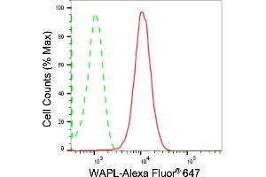 Flow cytometric analysis of WAPL expression in HepG2 cells using WAPL antibody (ABIN7800865), 1:2,000). (Recombinant WAPAL antibody)