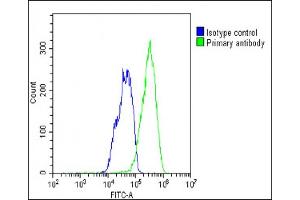 Overlay histogram showing HepG2 cells stained with (ABIN387939 and ABIN2844487)(green line). (RORA antibody  (AA 193-222))