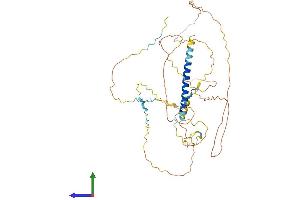 AlphaFold protein structure predicition of Human Recombinant AKAP5 Protein, UniprotID P24588 (AKAP5 Protein (AA 1-427) (His tag))