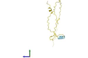 AlphaFold protein structure predicition of Human Recombinant PAGE5 Protein, UniprotID Q96GU1 (PAGE5 Protein (AA 1-130) (His tag))