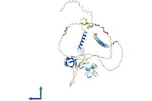 AlphaFold protein structure predicition of Human Recombinant HCLS1 Protein, UniprotID P14317