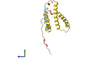 AlphaFold protein structure predicition of Human Recombinant MPC1L Protein, UniprotID P0DKB6 (MPC1L Protein (AA 1-136) (His tag))
