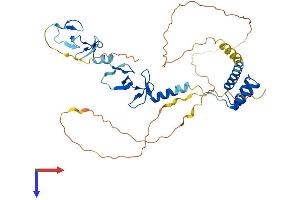 LHX3 Protein (AA 1-397) (His tag)