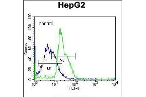 Flow cytometric analysis of K562 cells (right histogram) compared to a negative control cell (left histogram). (RPL15 antibody  (N-Term))