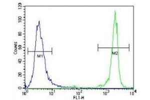 GDF15 antibody flow cytometric analysis of NCI-H460 cells (green) compared to a negative control (blue). (GDF15 antibody  (AA 51-79))