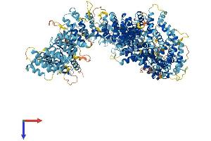 AlphaFold protein structure predicition of Human Recombinant TARBP1 Protein, UniprotID Q13395
