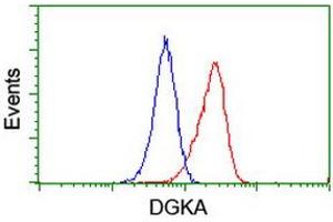 Flow cytometric Analysis of Jurkat cells, using anti-DGKA antibody (ABIN2455395), (Red), compared to a nonspecific negative control antibody, (Blue). (DGKA antibody)