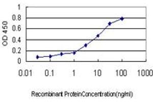 Detection limit for recombinant GST tagged MAGEA8 is approximately 0. (MAGEA8 antibody  (AA 1-318))