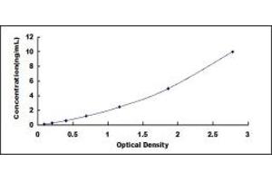 Typical standard curve (ITGA5 ELISA Kit)