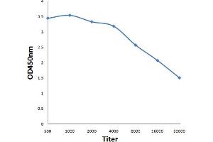 Antigen: 0. (LTB antibody  (AA 171-244))