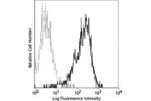 Image no. 1 for anti-Tumor Necrosis Factor (Ligand) Superfamily, Member 9 (TNFSF9) antibody (ABIN205461) (TNFSF9 antibody)