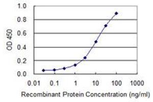 Detection limit for recombinant GST tagged OSBPL8 is 0. (OSBPL8 antibody  (AA 244-346))