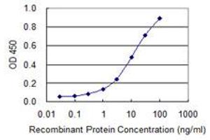 Detection limit for recombinant GST tagged OSBPL8 is 0. (OSBPL8 antibody  (AA 244-346))