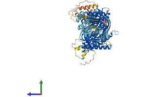AlphaFold protein structure predicition of Human Recombinant ADCY2 Protein, UniprotID Q08462