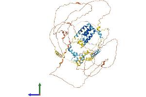 AlphaFold protein structure predicition of Human Recombinant ELOA2 Protein, UniprotID Q8IYF1 (TCEB3B Protein (AA 1-753) (His tag))
